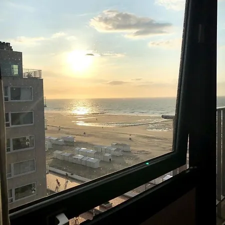 California Wenduine *