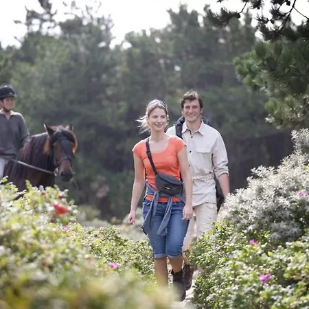 California Wenduine Apartment De Haan