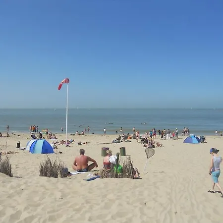 California Wenduine * De Haan