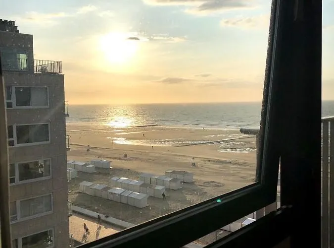 California Wenduine *